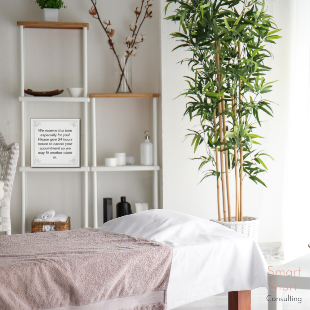 Esthetician Room Decor Ideas: Blending Style with Functionality- Check out the blog post!